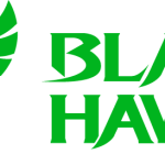 blade hawks